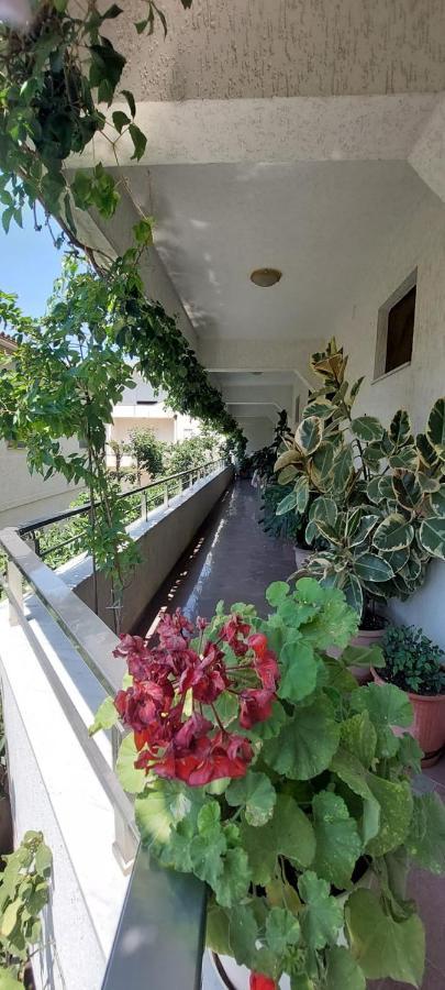 Villa Madani Durrës Zewnętrze zdjęcie