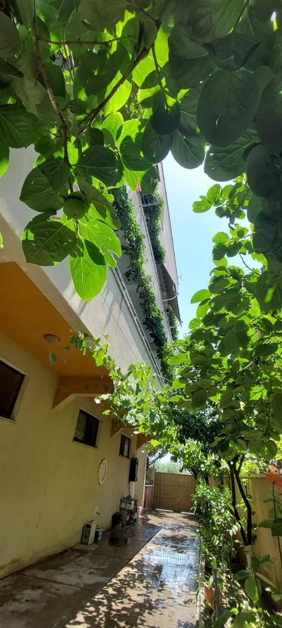 Villa Madani Durrës Zewnętrze zdjęcie